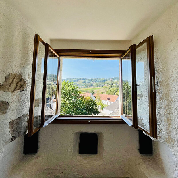 Fenster mit Aussicht ins Grüne