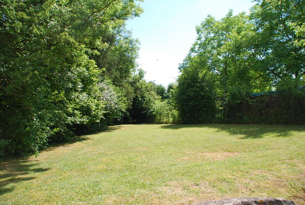 Large meadow