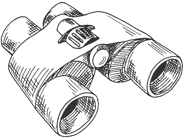Sketch of a binocular 